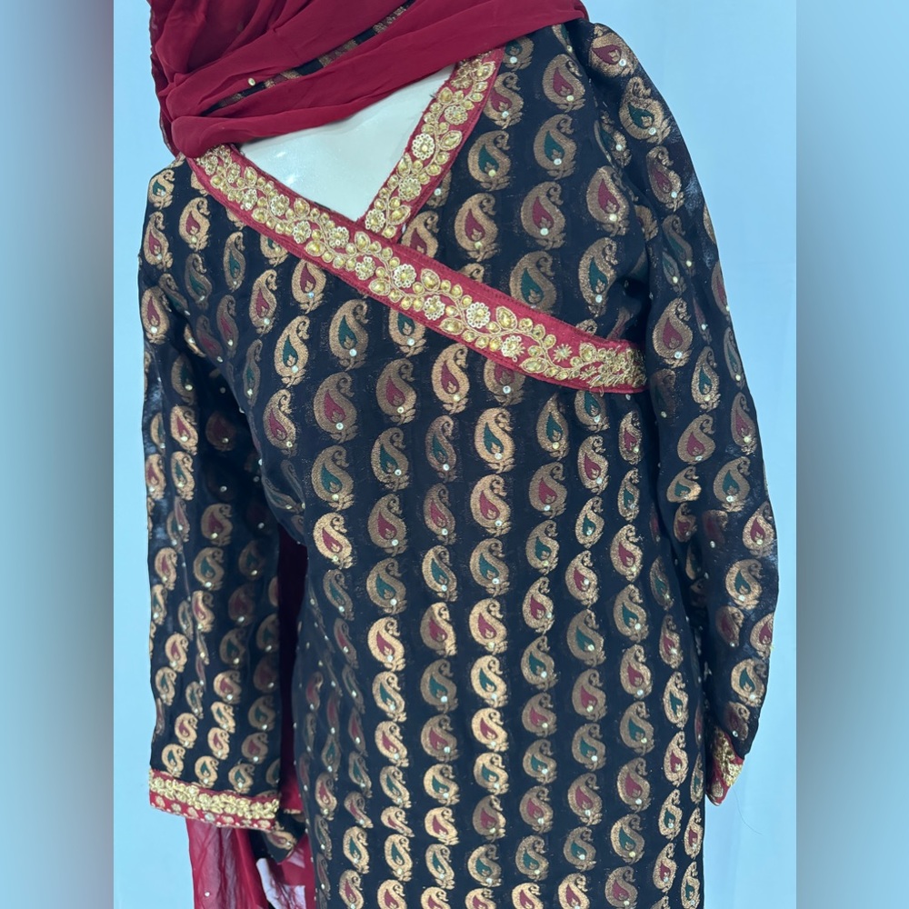 Indian pakistani dress